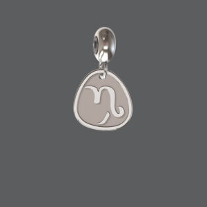 Silver Petite Zodiac Charm